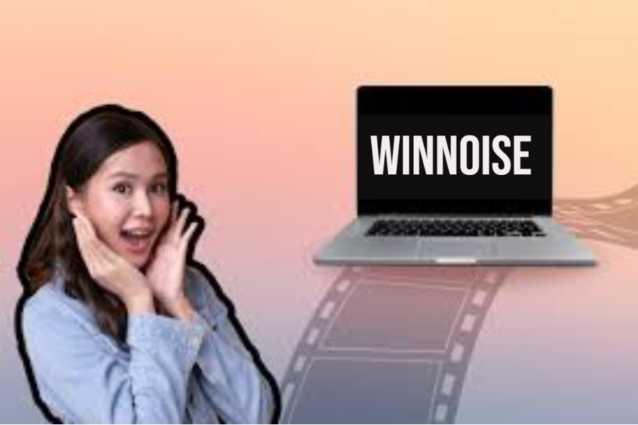 Winnoise