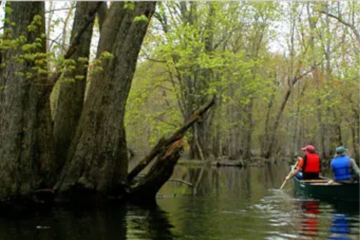 swampy area in the southern us nyt